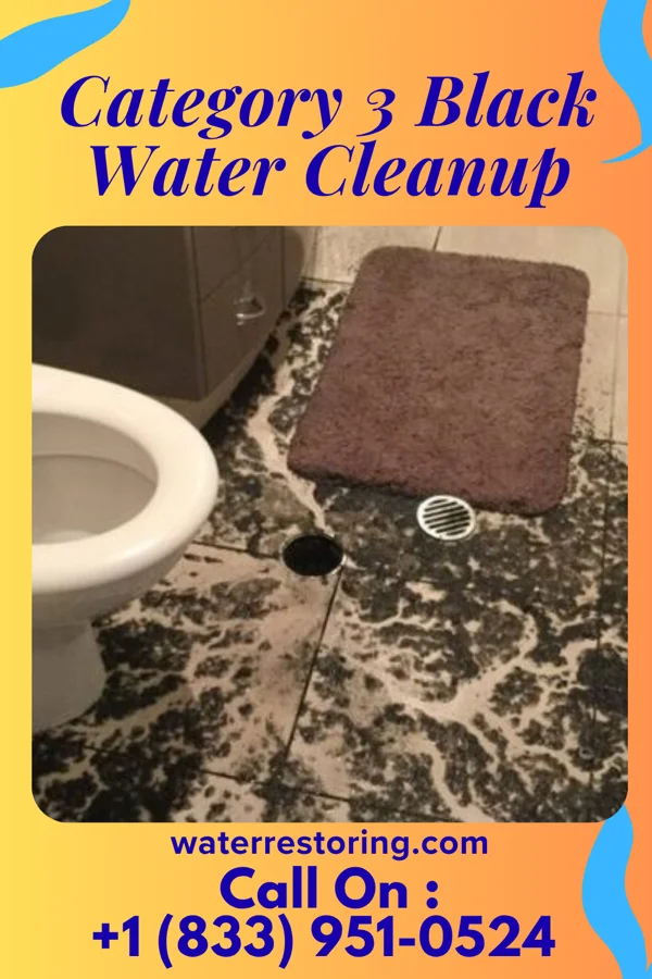 Category 3 Black Water Cleanup in Olivia, MN
