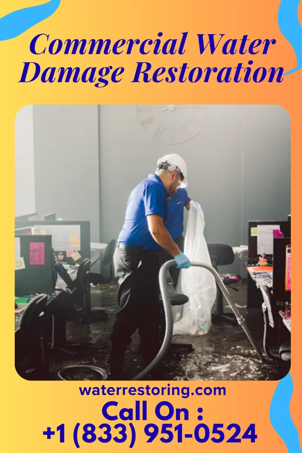 Commercial Water Damage Restoration in Olivia, MN