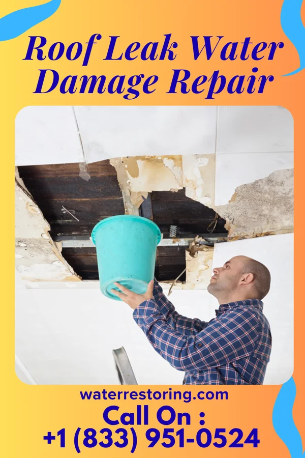 Roof Leak Water Damage Repair in Olivia, MN
